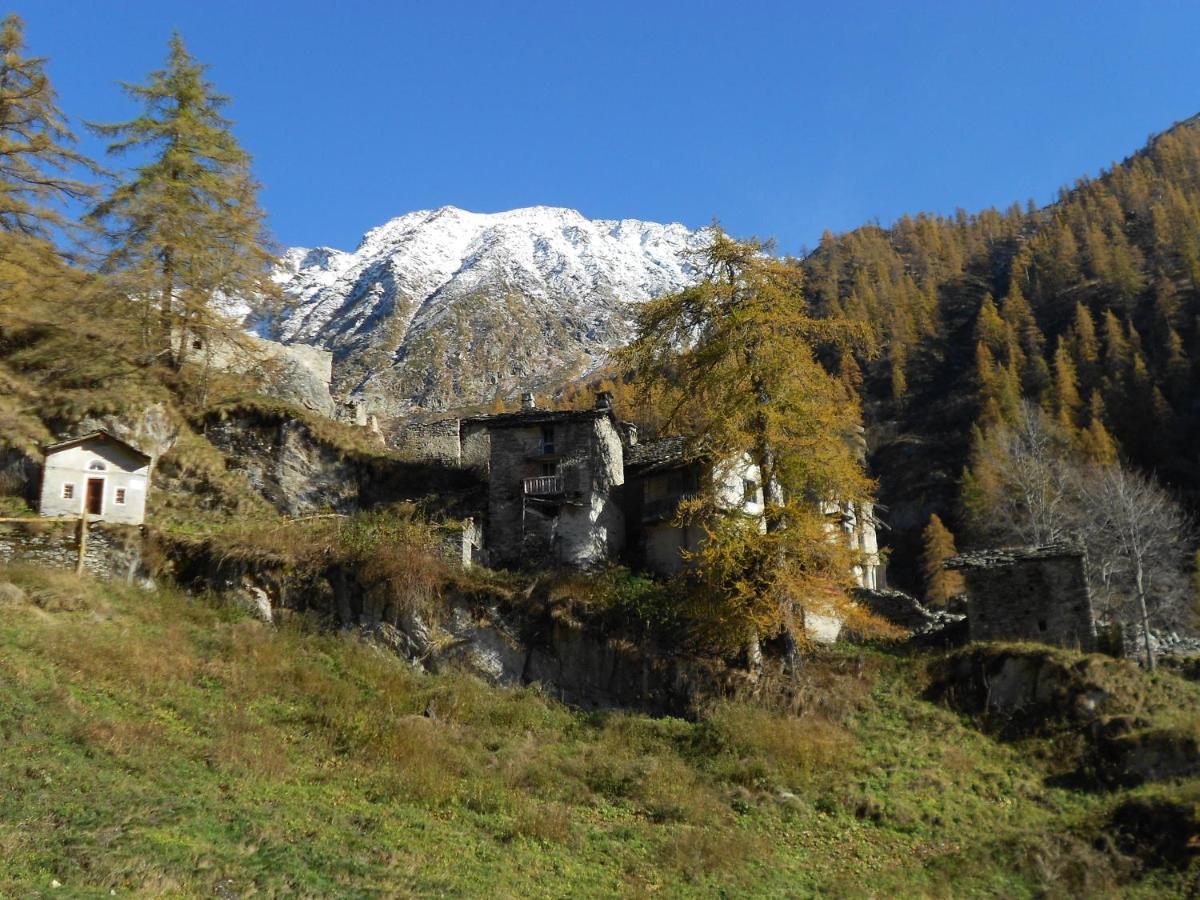 La Mura' - Il Vostro Posto Nel Gran Paradiso Ronco Canavese Exteriér fotografie