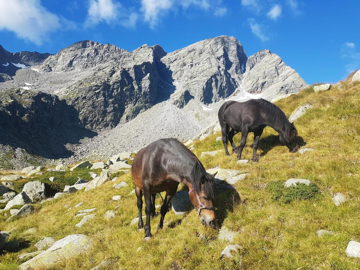 La Mura' - Il Vostro Posto Nel Gran Paradiso Ronco Canavese Exteriér fotografie