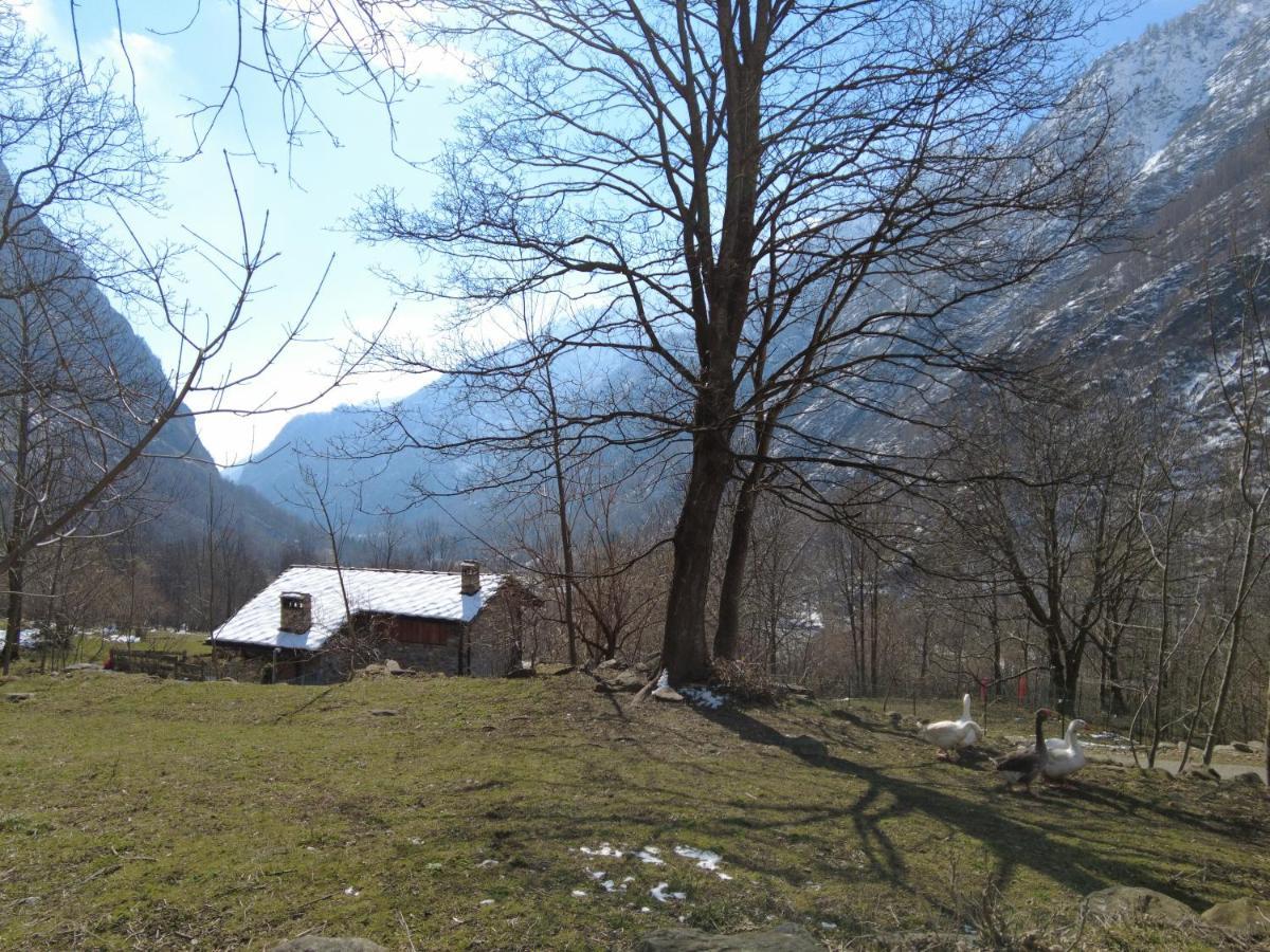 La Mura' - Il Vostro Posto Nel Gran Paradiso Ronco Canavese Exteriér fotografie