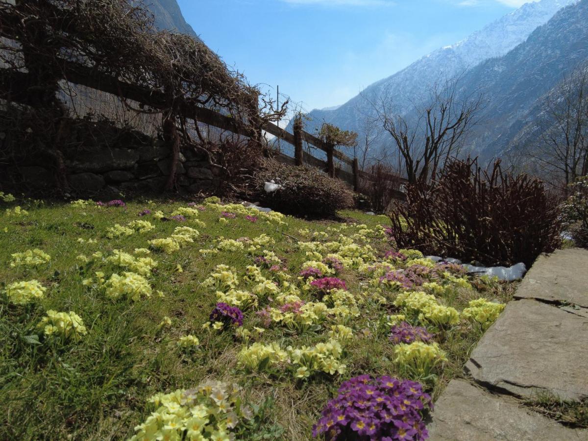 La Mura' - Il Vostro Posto Nel Gran Paradiso Ronco Canavese Exteriér fotografie