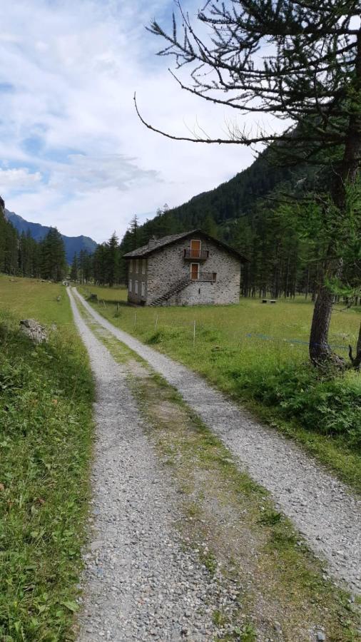 La Mura' - Il Vostro Posto Nel Gran Paradiso Ronco Canavese Exteriér fotografie